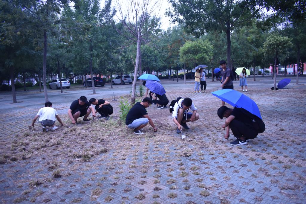 qy球友会